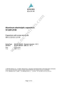 B43310A9159M000 Datasheet Cover