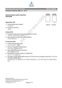 B43310A9159M000 Datasheet Page 2