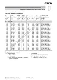 B43541A6477M000 Datasheet Page 13