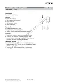 B43693A2137Q7 Datasheet Page 2