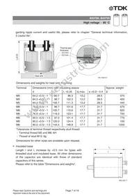 B43700B8688M050 Datasheet Page 7