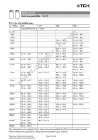 B43761A5109M000 Datasheet Page 10