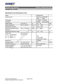 B45197A0687K509 Datasheet Page 5