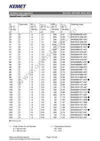 B45197A0687K509 Datasheet Page 13