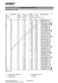 B45197A0687K509 Datasheet Page 19