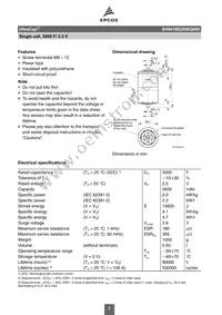 B49410B2506Q000 Datasheet Page 2