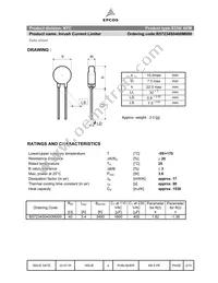 B57234S0400M000 Datasheet Page 2