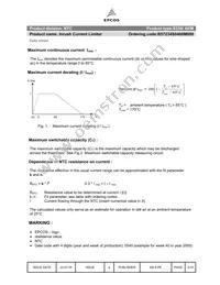 B57234S0400M000 Datasheet Page 3