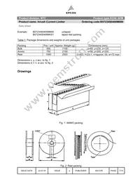 B57234S0400M000 Datasheet Page 7