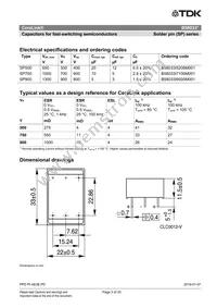 B58033I7106M001 Datasheet Page 3