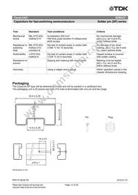 B58033I7106M001 Datasheet Page 12