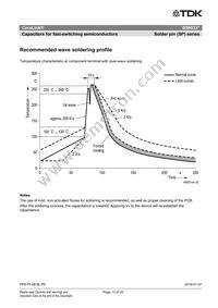 B58033I7106M001 Datasheet Page 13