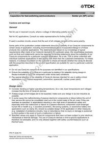 B58033I7106M001 Datasheet Page 17