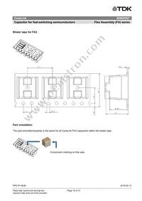 B58035U7155M062 Datasheet Page 19