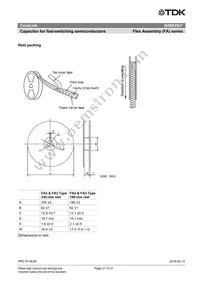 B58035U7155M062 Datasheet Page 21