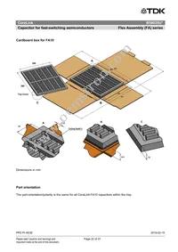 B58035U7155M062 Datasheet Page 22