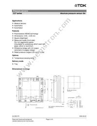 B58600C5010A005 Datasheet Page 2