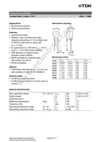 B59890C0160A051 Datasheet Page 2