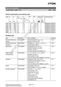 B59890C0160A051 Datasheet Page 3