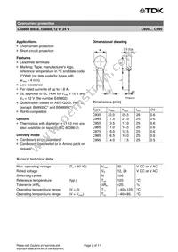 B59945C0120A051 Datasheet Page 2