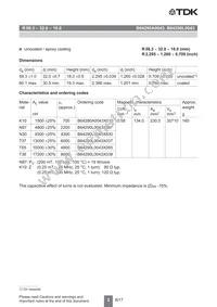 B64290A0043X010 Datasheet Page 2