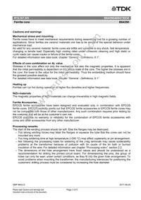 B64290A0047X830 Datasheet Page 3