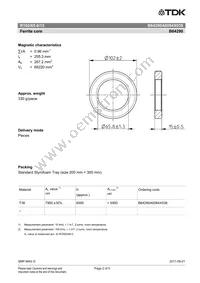 B64290A0084X038 Datasheet Page 2