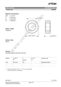 B64290A0618X033 Datasheet Page 2