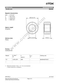 B64290A0672X037 Datasheet Page 2