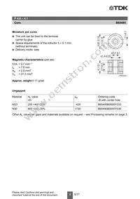 B65495B0000Y033 Datasheet Page 2