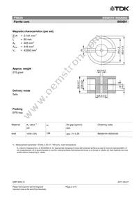 B65691K1000A048 Datasheet Page 2