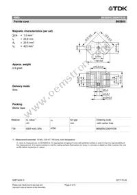 B65805C0000Y038 Datasheet Page 2