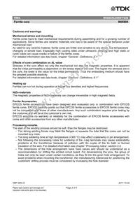 B65805C0000Y038 Datasheet Page 3