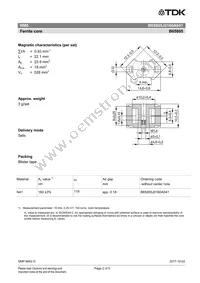 B65805J0160A041 Datasheet Page 2