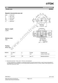 B65805J0250A041 Datasheet Page 2