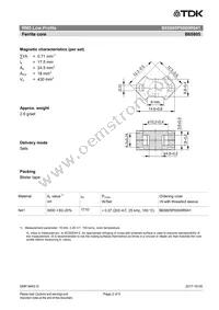 B65805P0000R041 Datasheet Page 2