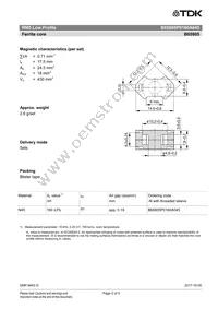 B65805P0160A045 Datasheet Page 2