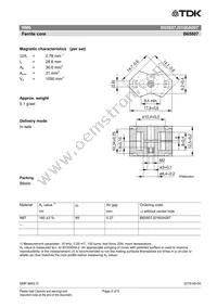 B65807J0160A087 Datasheet Page 2