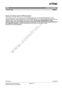 B65807J0160A087 Datasheet Page 4