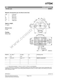 B65807J0250A087 Datasheet Page 2