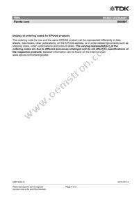 B65807J0250A087 Datasheet Page 4