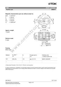 B65811J0250A057 Datasheet Page 2