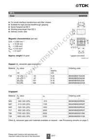 B65855B0000Y038 Datasheet Page 2