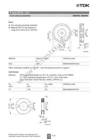 B65945A0000X022 Datasheet Page 2