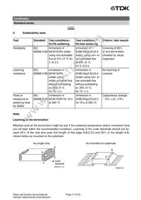 B72440C0050A160 Datasheet Page 17