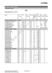 B72510T2170K062 Datasheet Page 9