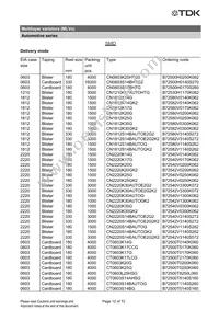 B72510T2170K062 Datasheet Page 12