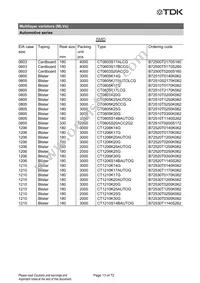 B72510T2170K062 Datasheet Page 13