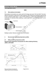 B72762A2170S160 Datasheet Page 20