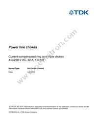 B82747S4423N020 Datasheet Cover